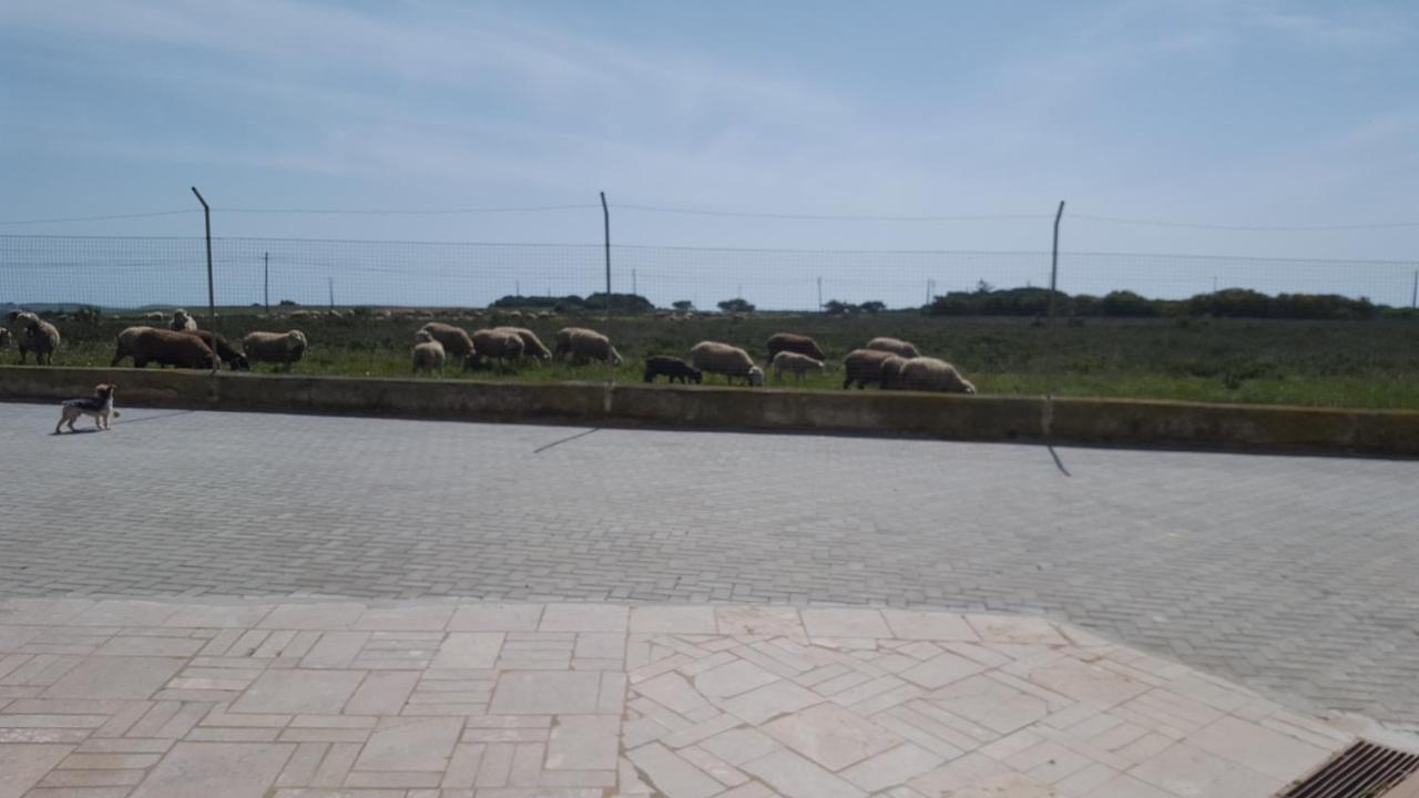 Abrigo Das Nortadas Vila do Bispo Exterior foto